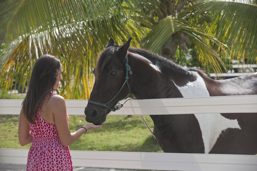 Biras Creek Resort Spanish Town Eksteriør bilde